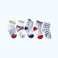 Blue Bear Socks 5pk